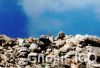 uxmal_18
