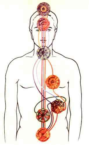 chakras